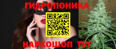 амф Новозыбков