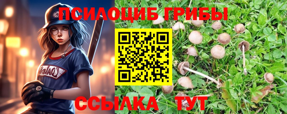 Галлюциногенные грибы мицелий  Вход с VPN  Галлюциногенные грибы MAGIC MUSHROOMS  Скопин 